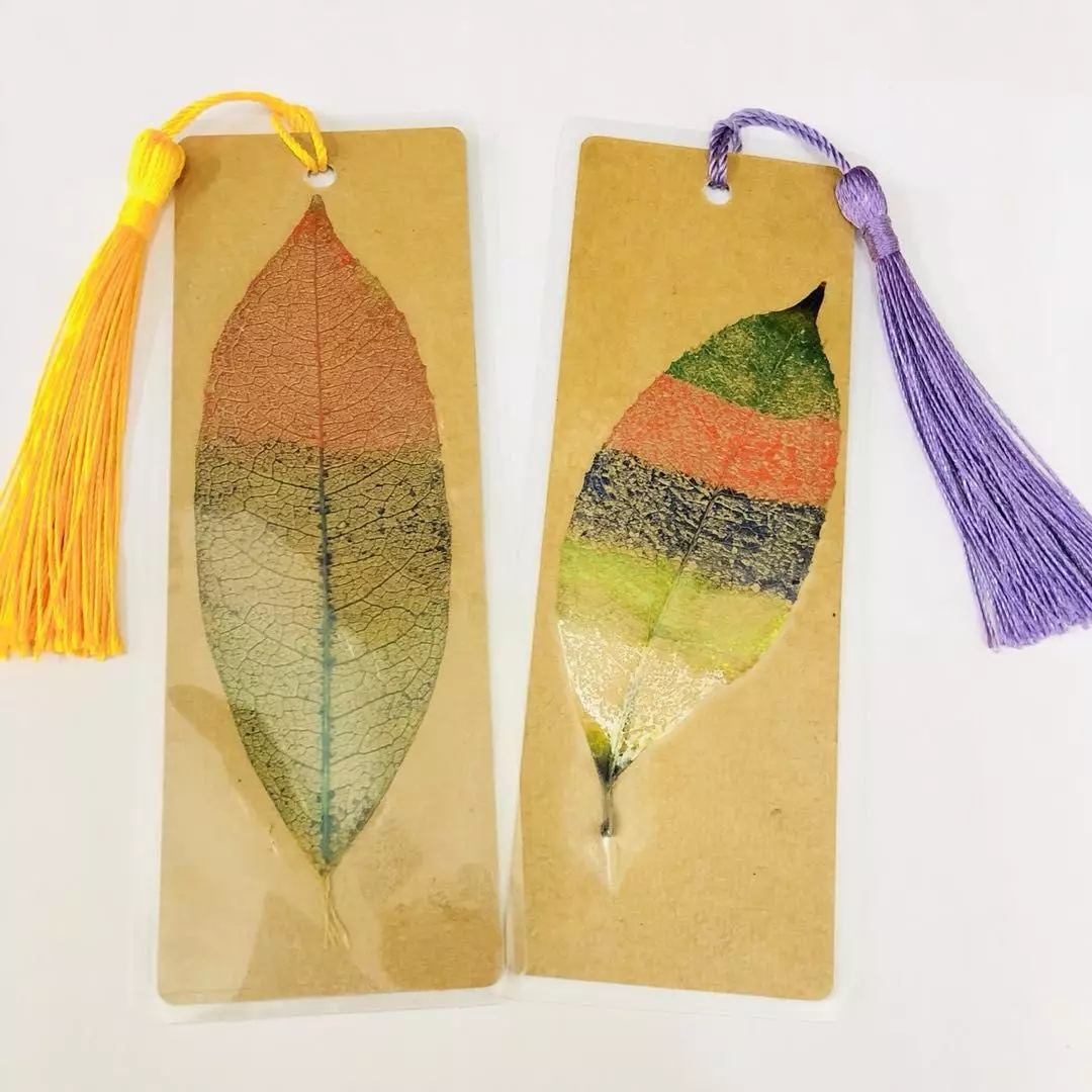 叶脉书签照我心 --高一中韩班生物活动课